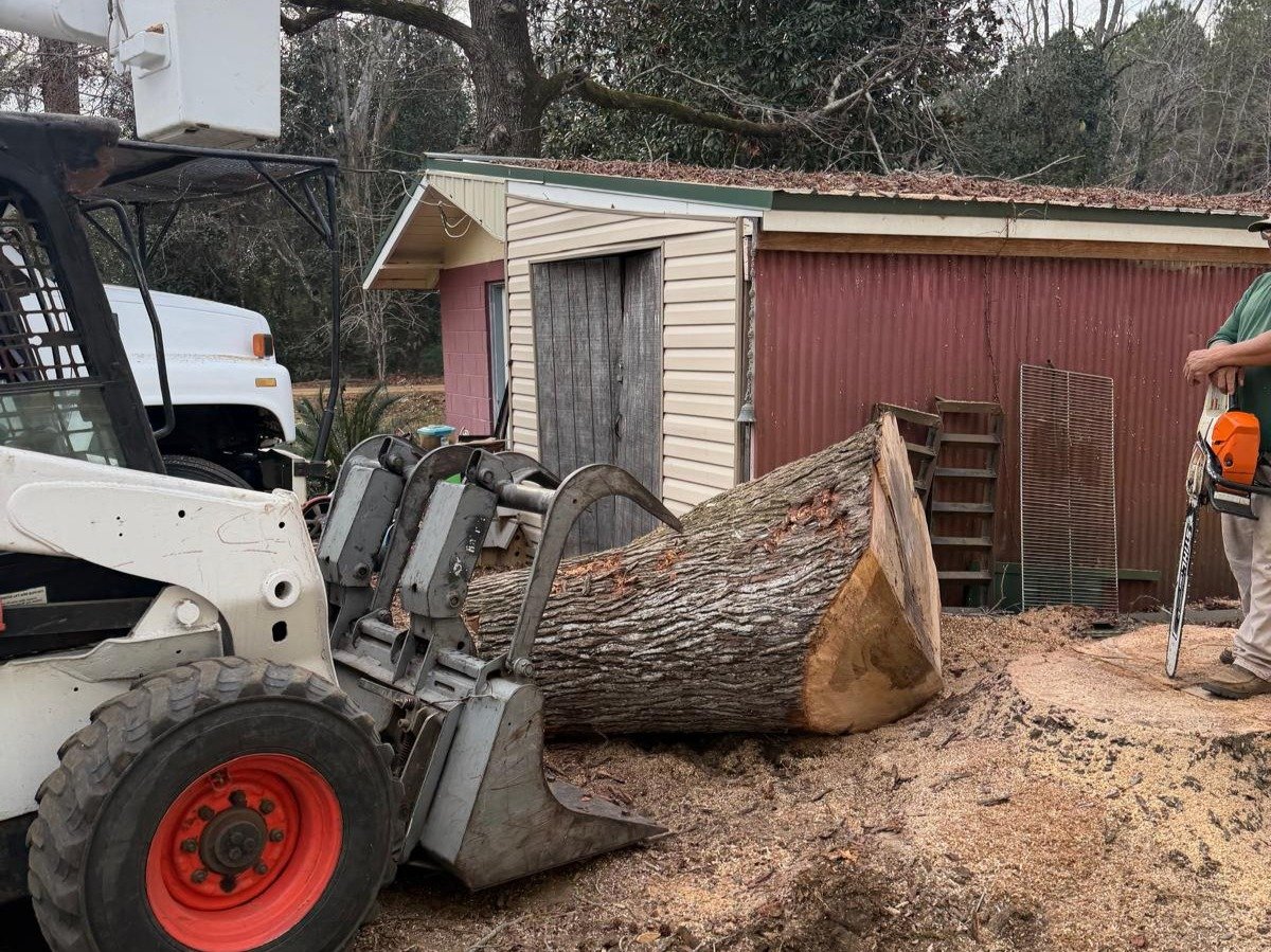 El Costeño Tree Service LLC